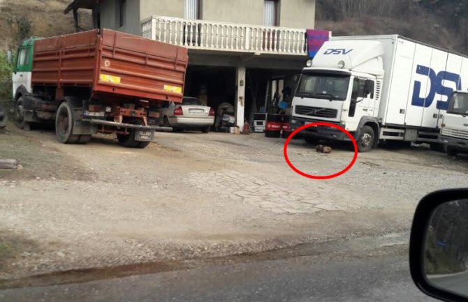 Bijelo Polje: Pas zavezan za kamion duži vremenski period bez hrane