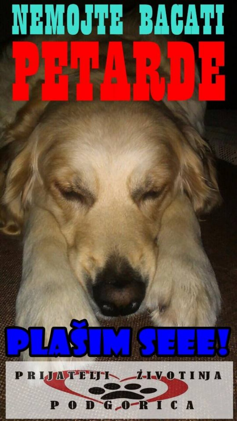 150956843266984743834255642370140440312668n1