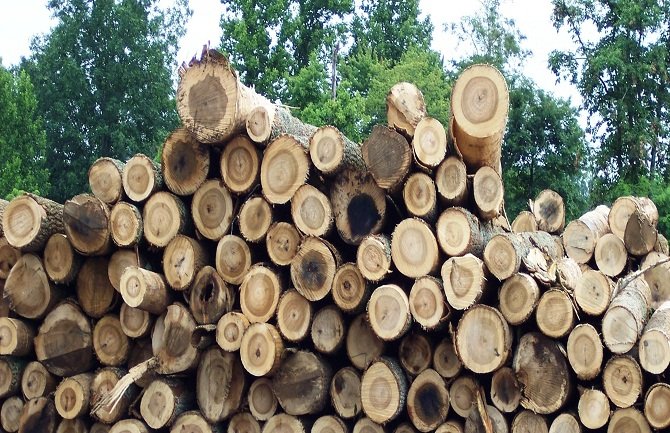 Proizvodnja šumskih sortimenata 33 odsto manja 