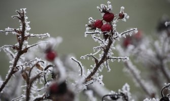 Evo kakvo nas vrijeme očekuje za dane vikenda