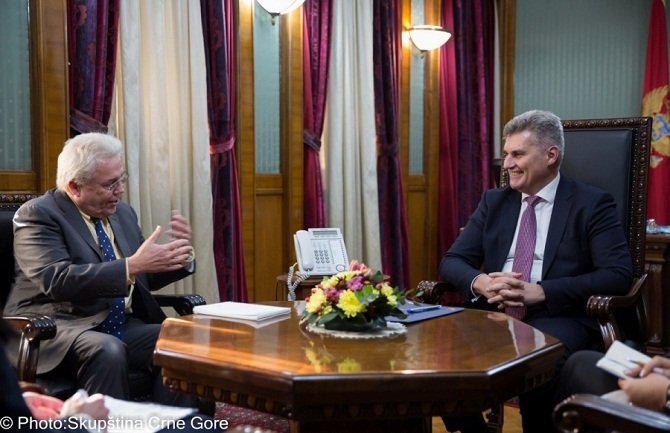 Odlična saradnja CG i britanskog parlamenta