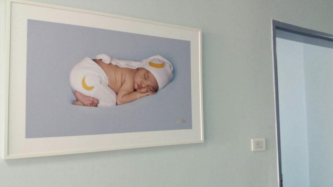 1539290113521061814883652402279914198228721o