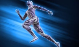 20 nevjerovatnih činjenica o ljudskom tijelu