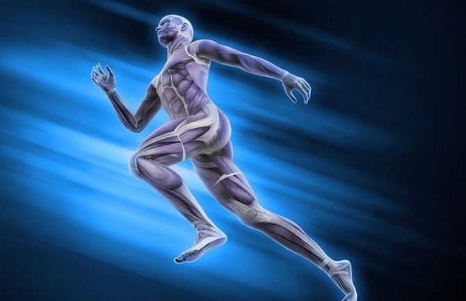 20 nevjerovatnih činjenica o ljudskom tijelu