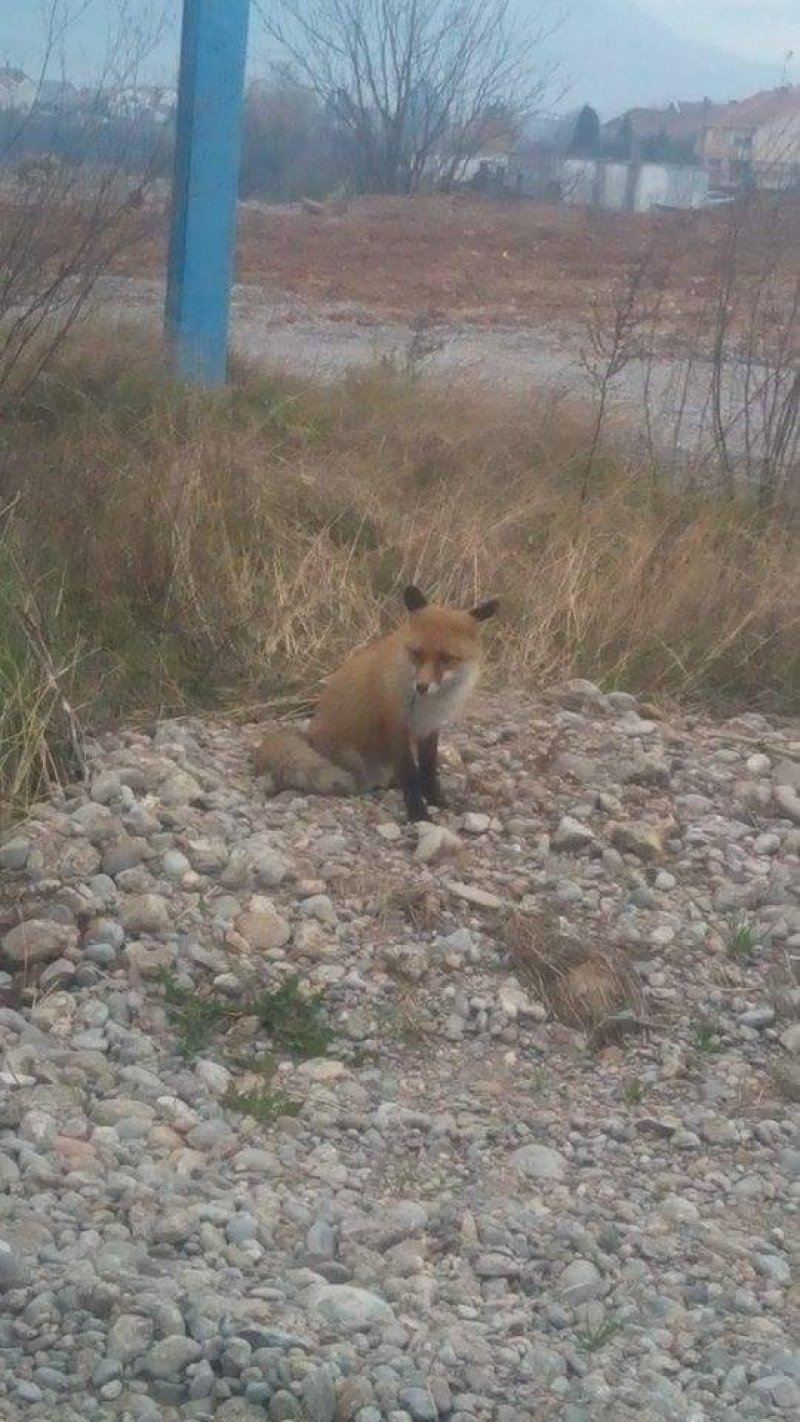 154398367424391025707662105889206367939508n