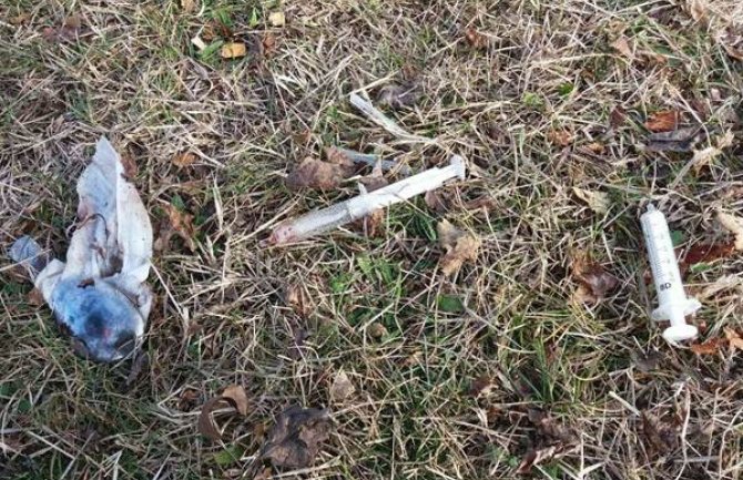 Nikšić: U dvorištu škole pronađen pribor narkomanskih zavisnika