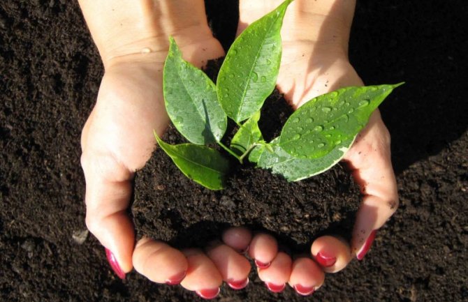 Milijardu ipo za zaštitu životne sredine 