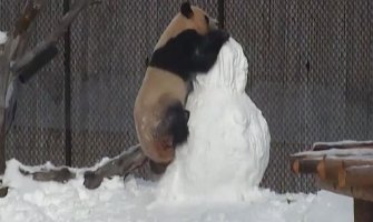 Pogledajte borbu pande i Sneška Bjelića (VIDEO)