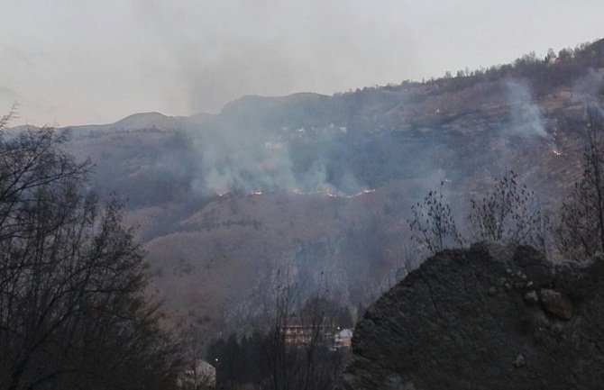 Požari u crnogorskim šumama sve češći i u zimskim mjesecima