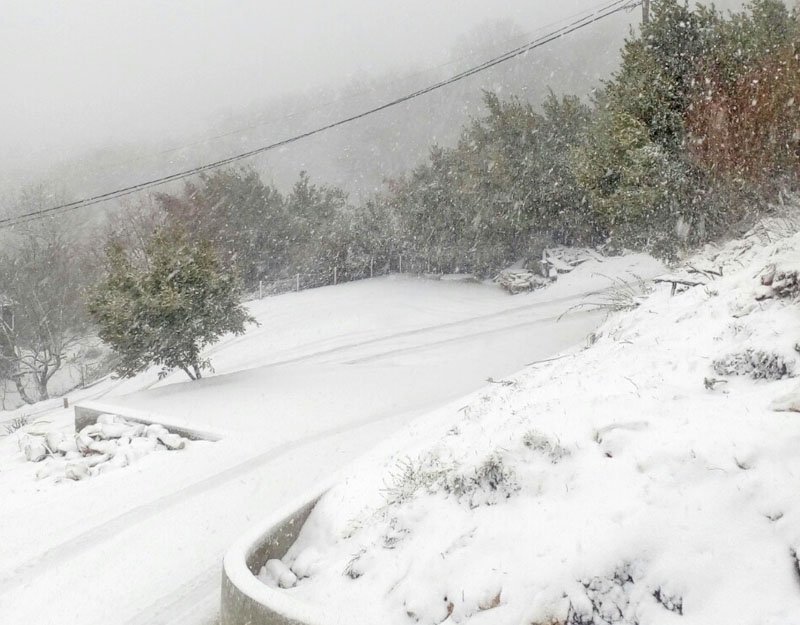 snijegmokrine0501162