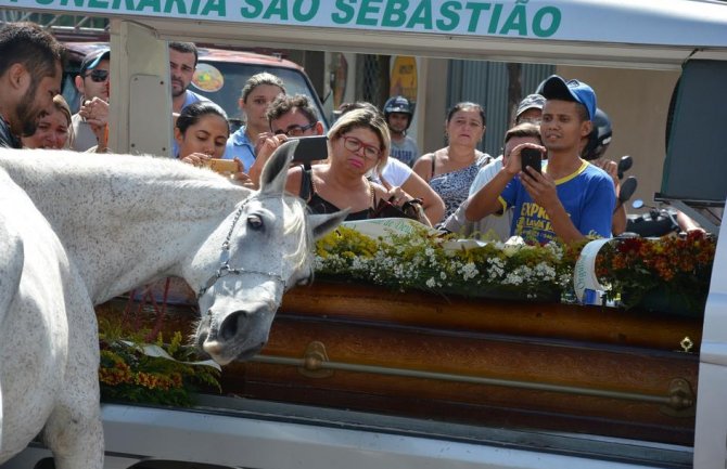 Tuga: Konj se oprašta od svog vlasnika(FOTO)