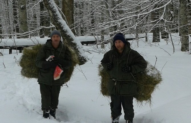 Službe zaštite Nacionalih parkova tokom zime redovno vrše prihranu divljači(FOTO)