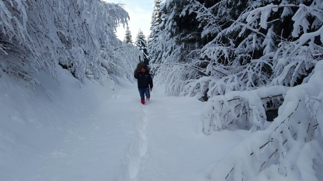 PrihranadivljaiProkletije