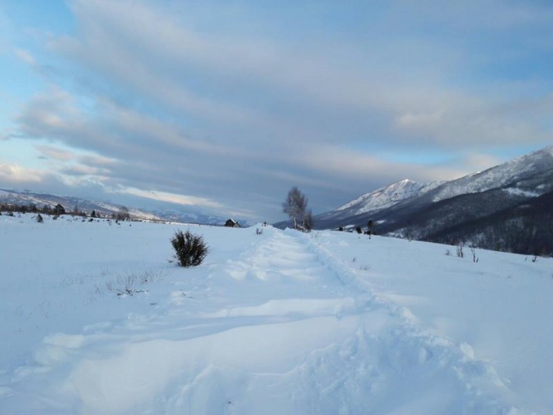 161055327894794045267592837223626621354372n