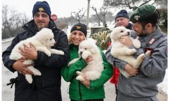 Spasioci iz ruševina hotela zatrpanog lavinom izvukli tri šteneta