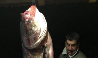Podgoričanin na Skadarskom jezeru ulovio tolstolobika teškog više od 54 kg