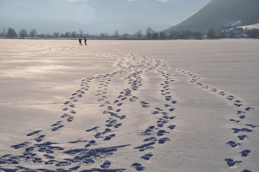 2017020522168057418618089Web