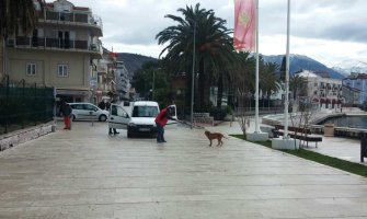 Tivat: Pitbul usmrtio pudlicu, pa napao majku sa djetetom (FOTO)