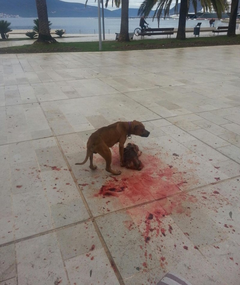 a3dde9dbe14c37d8b20c5d01f54b6a74