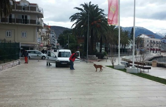 Krivična prijava protiv vlasnika pitbula koji je rastrgao pudlicu i napao djevojčicu