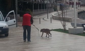 Građani da prijave slučajeve neodgovornog vlasništva životinja