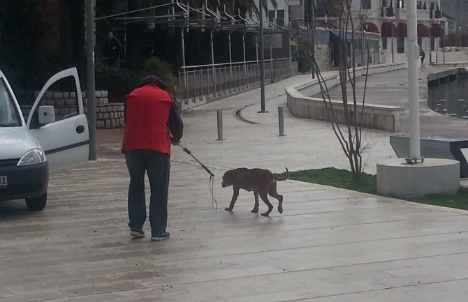 Građani da prijave slučajeve neodgovornog vlasništva životinja