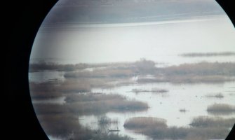 Skadarsko jezero: Krivolovom uznemiravaju pelikane, oduzeto 20 kg ribe, mreže...