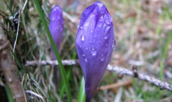 Danas topao februarski dan