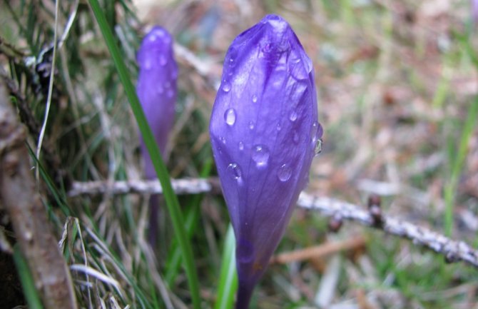 Danas topao februarski dan