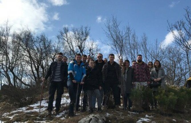 Mladi SD Nikšića organizovali akciju pošumljavanja