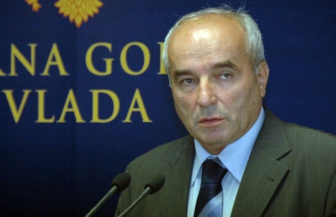 Vujović: MA bi mogao biti privatizovan kada budu imali strateškog partnera