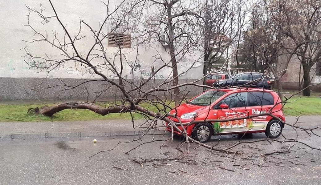 16806913781915395289803332057599162845305n