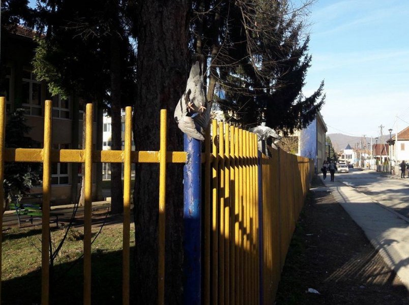 1710117910212689609103064880082283o