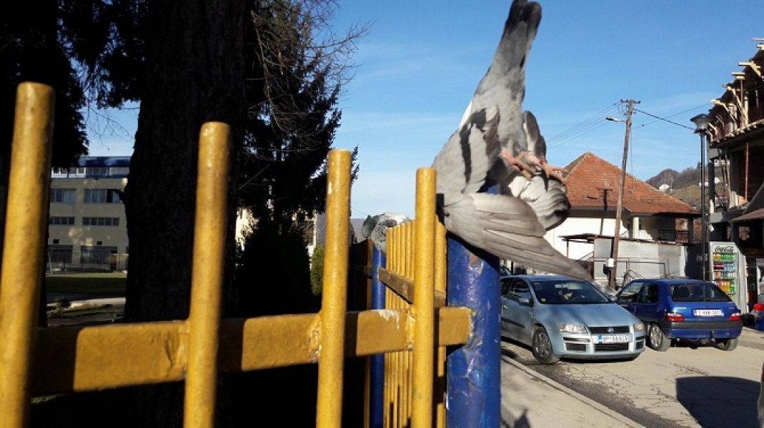 1703611210212689609543075548993413o