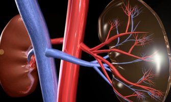 Na transplantaciju bubrega čeka 37 pacijenata