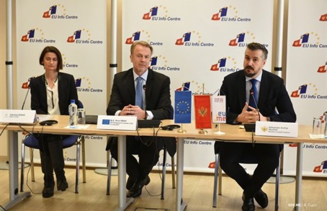 Pejović: Preveli smo 17.000 strana evropskih propisa