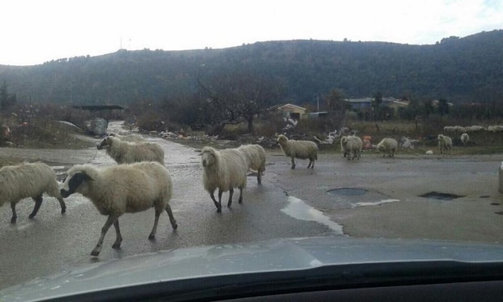 image00205e05b025e4df8fa3f795300d2b2e2a676cee95fb00bdc45d738964ba9777b737eV