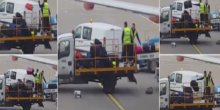 Pogledajte zašto vam je aerodrom izgubio prtljag (VIDEO)