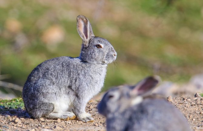 Evo kakvo nas vrijeme očekuje za dane vikenda