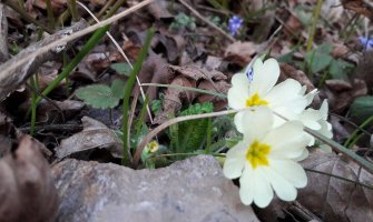 Počelo proljeće, evo kakvo vas vrijeme očekuje