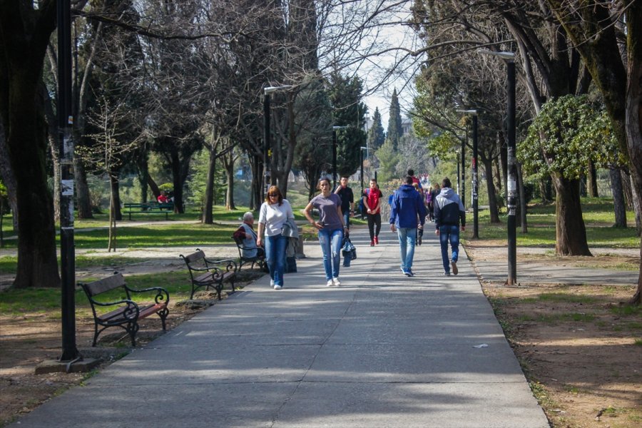 2017032022251688420080261Web