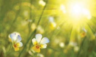 Danas sunčano, do 25 stepeni