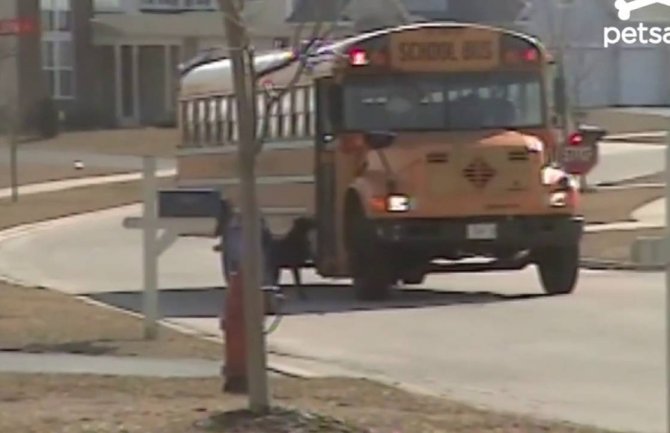 Pas čeka školski autobus i nosi ranac svom vlasniku(VIDEO)