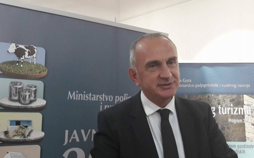 17454964102129014069978792048481184o