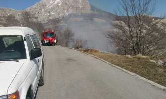 NPCG: Čuvajmo šume od požara