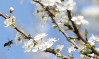 I danas sunčano i toplo, sjutra snijeg!