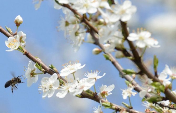 I danas sunčano i toplo, sjutra snijeg!