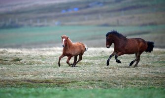Danas sunčano i toplije, do 24 stepena