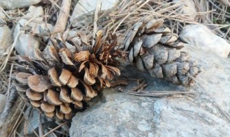 Sunčano uz pojačan vjetar, do 28 stepeni