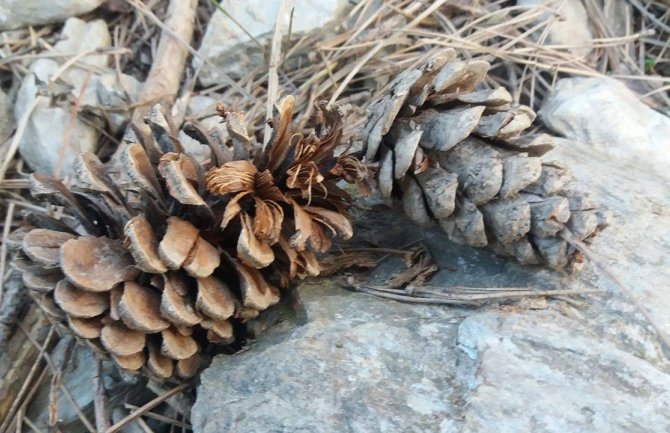 Sunčano uz pojačan vjetar, do 28 stepeni